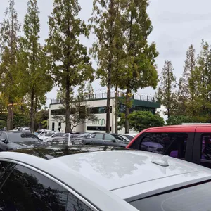 카페 보다 리뷰 사진