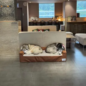 애코랜드 리뷰 사진