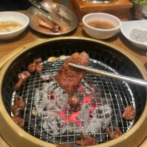 송도갈매기 사진