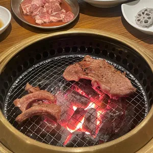 송도갈매기 사진