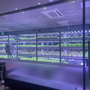 송도갈매기 리뷰 사진