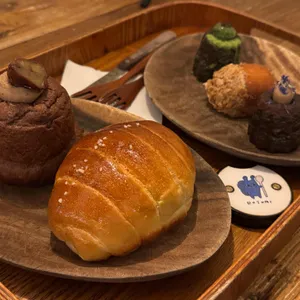 도토리가든 사진