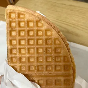 와플대학 대표 사진