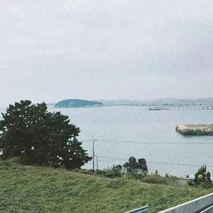 벨라코스타 리뷰 사진