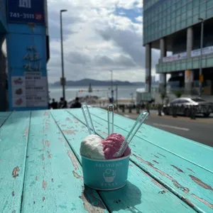 젤라또조이 사진