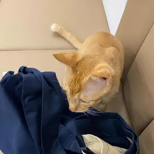 포트캔커피 대표 사진