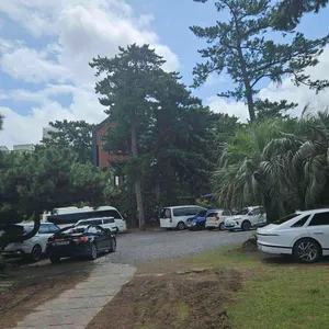 섬누들 리뷰 사진