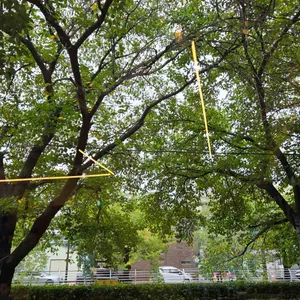 카페 파이니 리뷰 사진