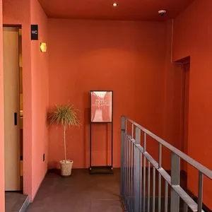 오버랩 리뷰 사진