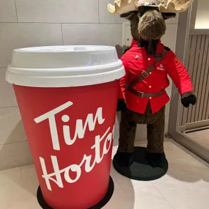 팀홀튼 리뷰 사진