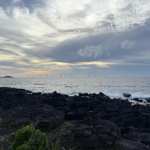 해지개 리뷰 사진