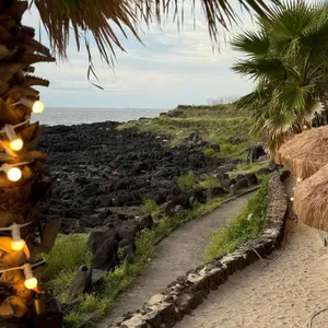 해지개 리뷰 사진