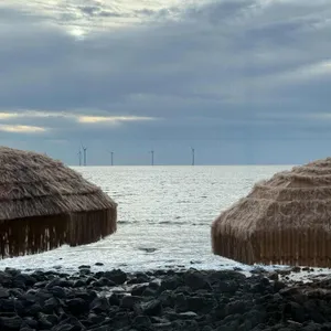 해지개 리뷰 사진