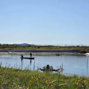 약암양식장 리뷰 사진