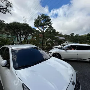 라라푸드카페 리뷰 사진