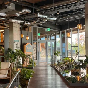 제주당 리뷰 사진