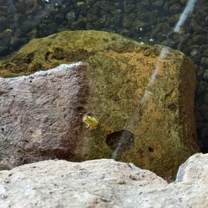 제주당 리뷰 사진