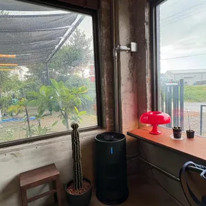 슬로피타운 리뷰 사진