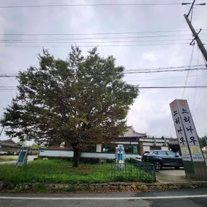 느티나무 리뷰 사진