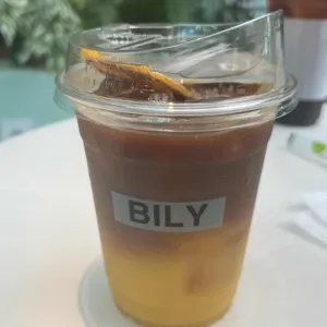 빌리 사진 1