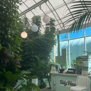 빌리 리뷰 사진