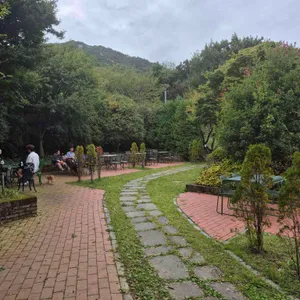더팜471 사진 2