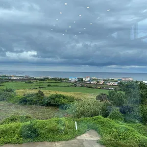 소섬전복 리뷰 사진