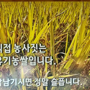 청목장어 리뷰 사진