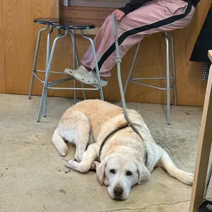 아루쿠히토 리뷰 사진