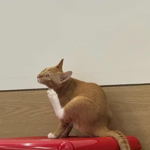 포트캔커피 리뷰 사진