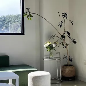 카키 리뷰 사진