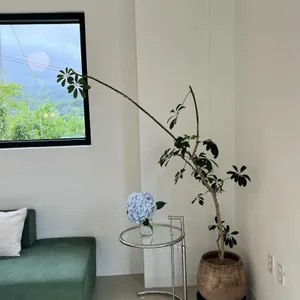 카키 리뷰 사진