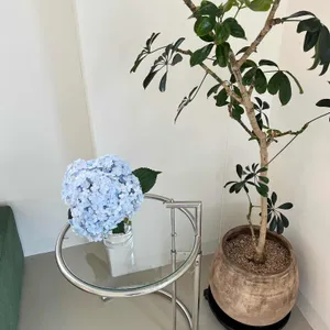 카키 리뷰 사진