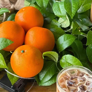 바다앞테라스 사진