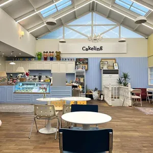 해피베어데이 리뷰 사진