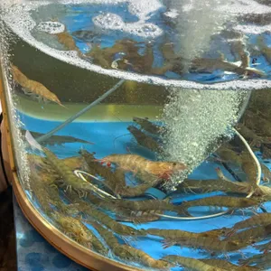 청량리조개구이찜 사진