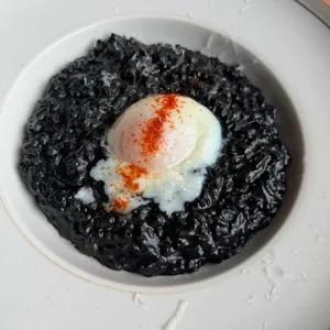 벨라 사진
