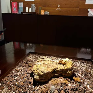 유월커피 리뷰 사진