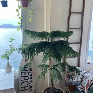 흰여울비치 리뷰 사진