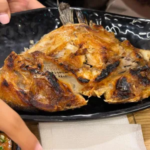 물고기자리 사진