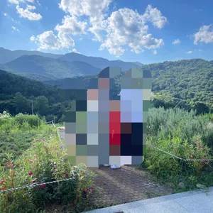 나인힐 베이커리 카페 리뷰 사진