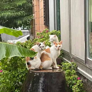 산수옥 리뷰 사진