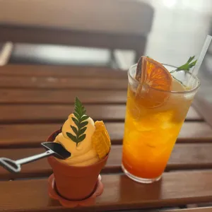 제주당 사진 1