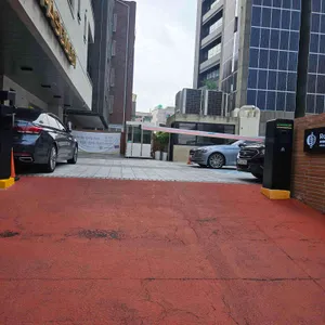 파스쿠찌 리뷰 사진