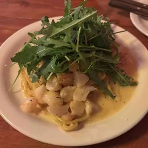 파피 대표 사진