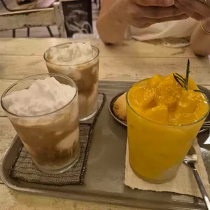 코코노이 사진