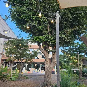 감자밭 리뷰 사진