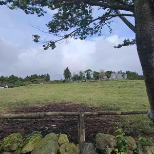 아침미소목장 카페 리뷰 사진