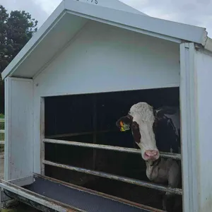 아침미소목장 카페 리뷰 사진