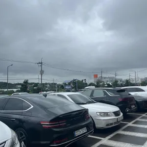 최씨장칼국수 리뷰 사진